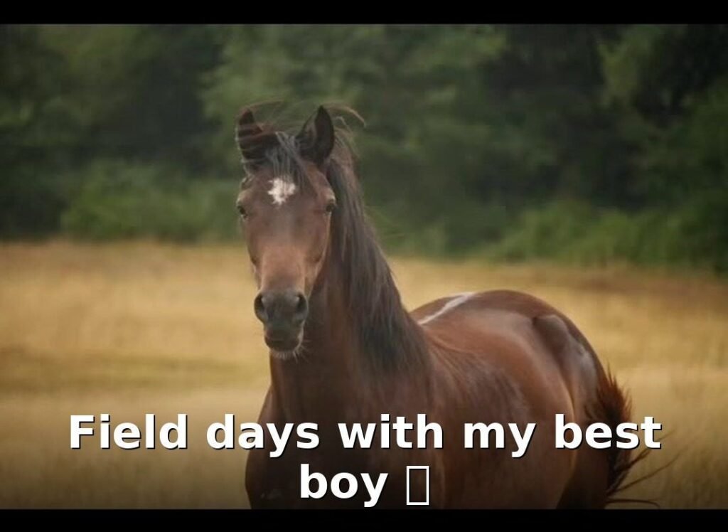 UGC Portfolio dewi photo1 (1)